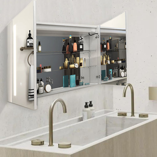 Orren Ellis Yuvika Surface Mount Frameless 2 Door Medicine LED